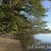 beach_walindi_kb_h_0177_png0221.jpg